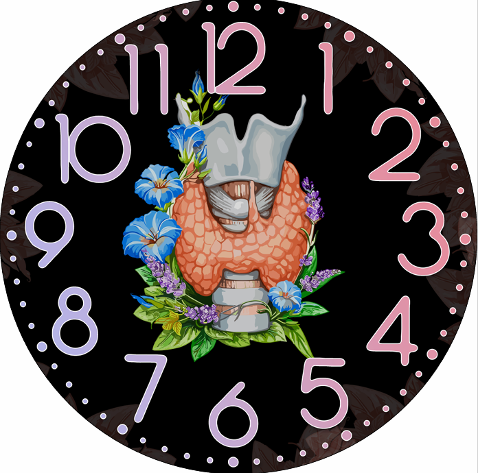 Horloge thème Endocrinologie