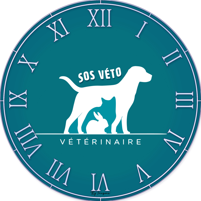 Horloge thème Vétérinaire 