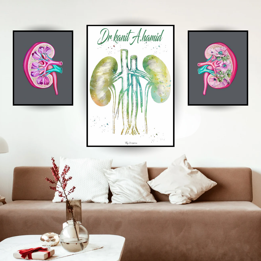 Série de 3 Tableaux thème Urologie