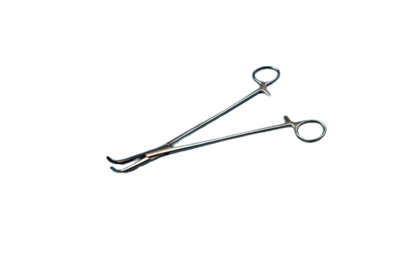 Pince Dissecteur Semb 23 cm