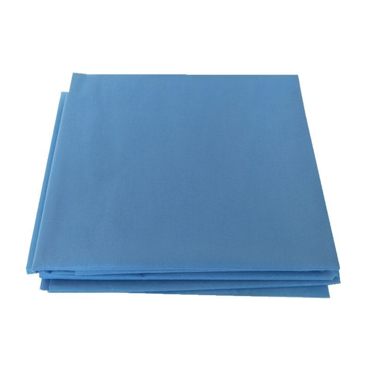 Drap jetable non tissé (02 pièces)