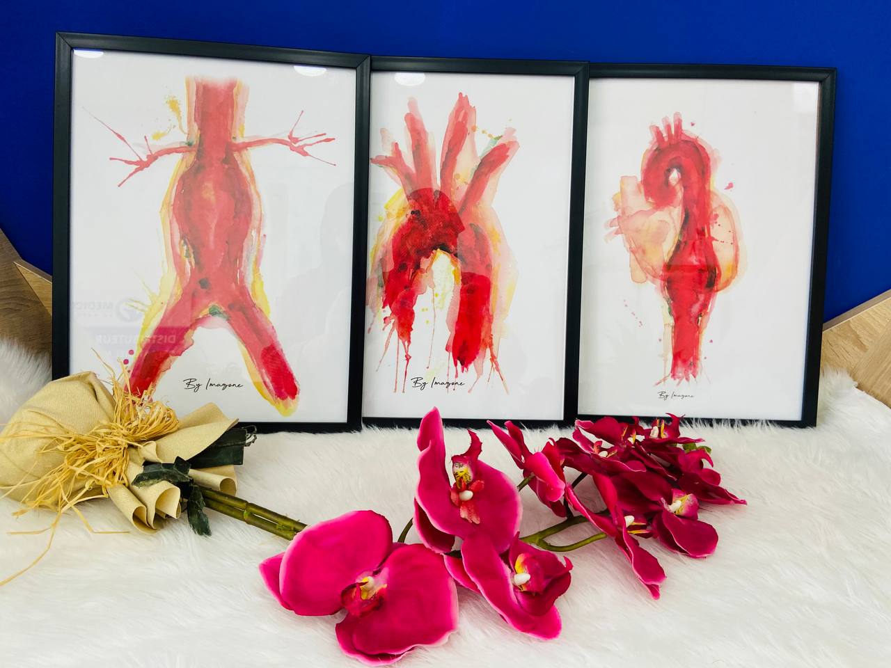 Série de 3 tableaux thème cardiologie 