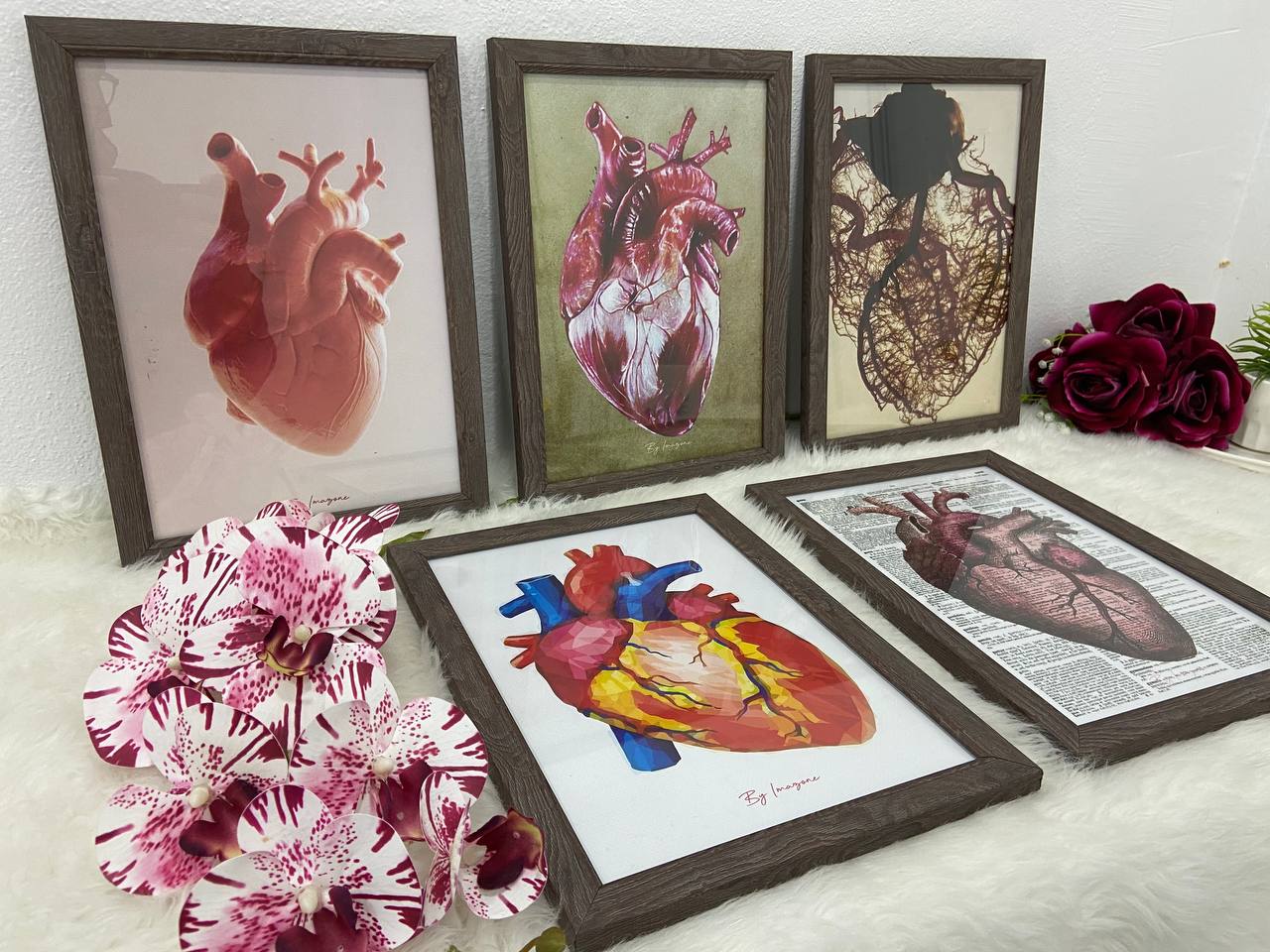 Série de 5 tableaux thème cardiologie 